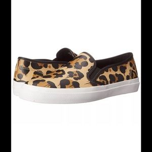 Coach Chrissy wild beast